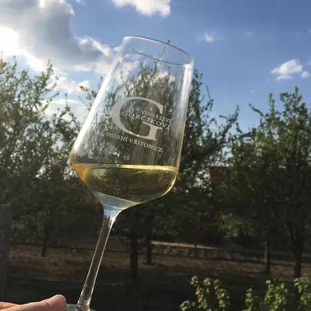 Na Upati Palavy Horní Věstonice